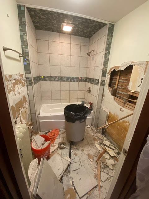 Demo day - Start of bathroom remodel